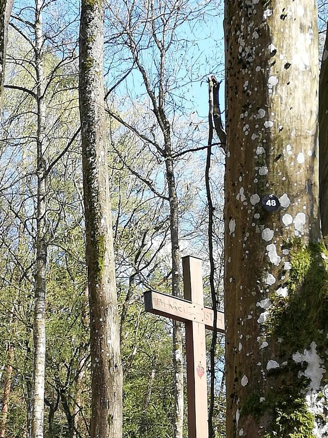 Ferienwohnungen Blum Kelberg Exteriör bild