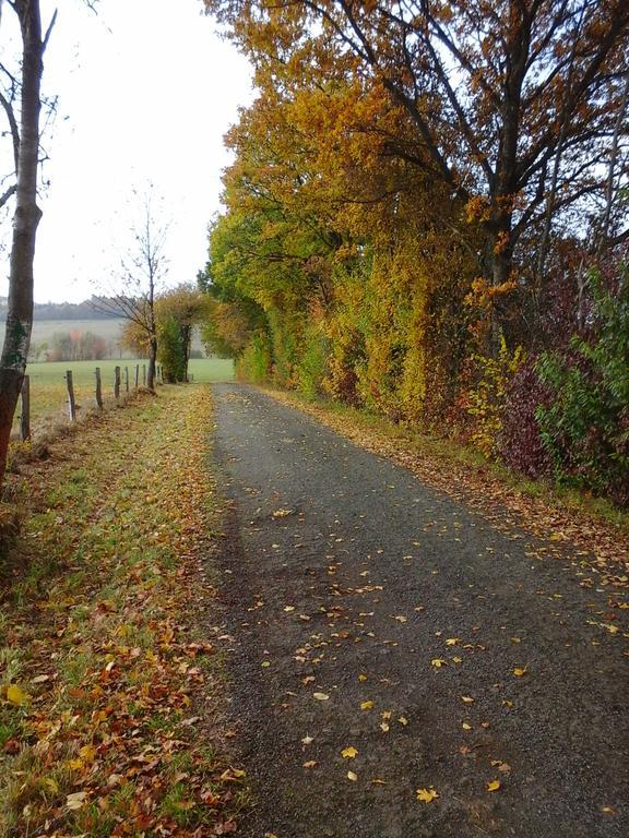 Ferienwohnungen Blum Kelberg Exteriör bild