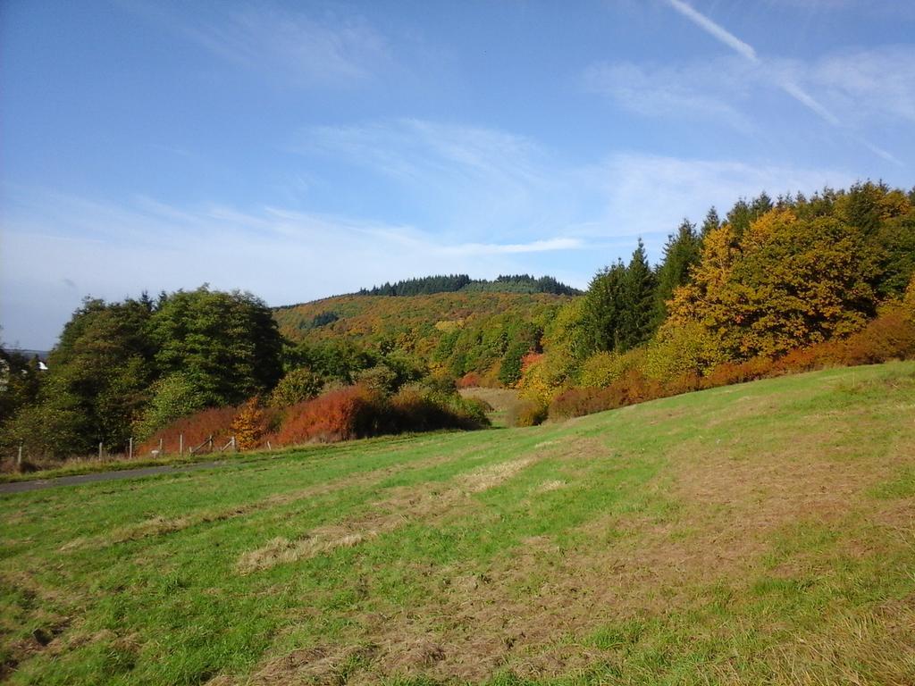 Ferienwohnungen Blum Kelberg Exteriör bild