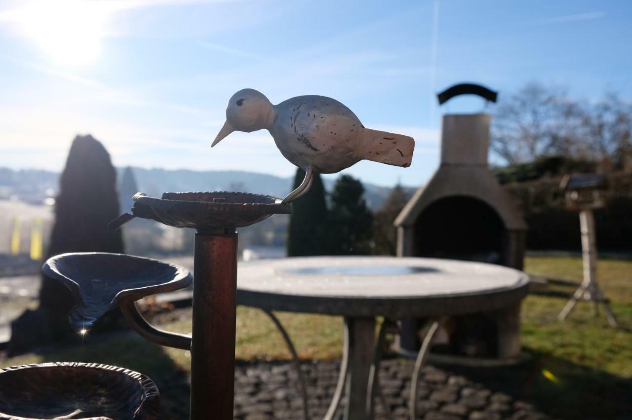 Ferienwohnungen Blum Kelberg Exteriör bild